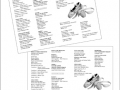 28 Theatre Program