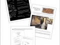 2 Presentation Graphics